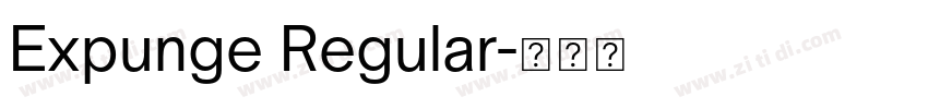 Expunge Regular字体转换